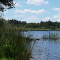 L'étang de Saint Bonnet au milieu de la forêt de Troncay