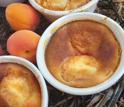 PETITES FLOGNARDES AUX ABRICOTS