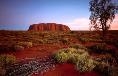 VOYAGE DE NOCES : l'Australie 