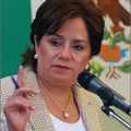 Le Mexique appuie la démarche de Christopher Ross pour une solution définitive à la question du Sahara (ministre des AE)