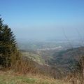 Aujourd'hui, c'est du Mont PILAT, que JE VOUS SOUHAITE UNE TRES BONNE JOURNEE ! UNE ADORABLE SEMAINE !