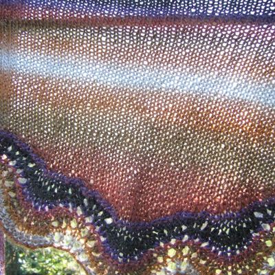 dernières nouveautés ...