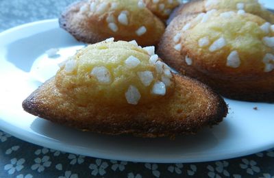 madeleines au sucre perlé