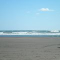Muriwai Beach !