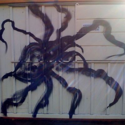 L'araignée gypsie..