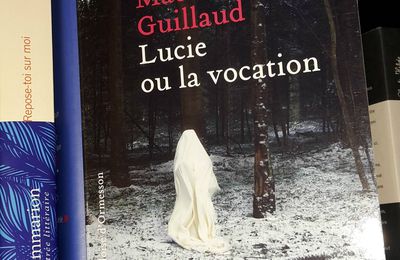 « Lucie ou la vocation » de Maëlle Guillaud