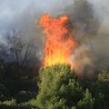 Région Paca : dispositif de lutte contre les incendies