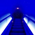 Escalator Bleue