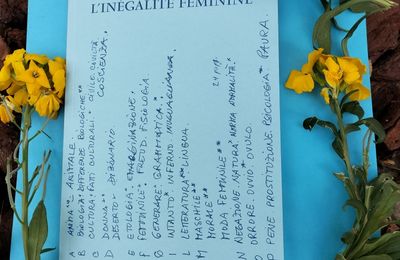 Petit dictionnaire de l'inégalité féminine Alice Ceresa Texte original établi par Tatiana Crivelli Traduit de l'italien par Renato Weber Éditions La Baconnière