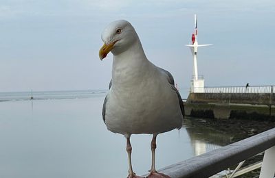 promenades bauloises