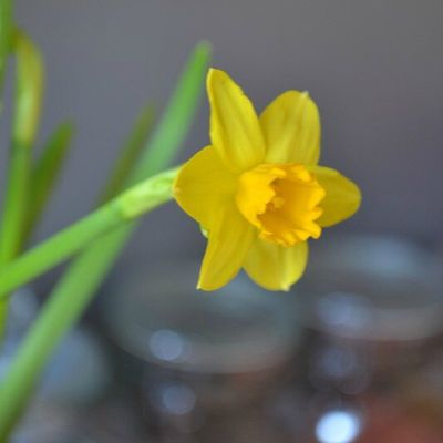 Trop de choses à faire.