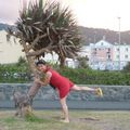 promenade littoral Saint Denis