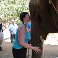 Trek..Marche, Elephants et cascades dans la jungle!!