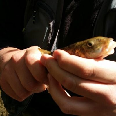  vallon de cramassouri