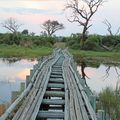 échappée belle au botswana #6 (dans le delta de l'okavango)