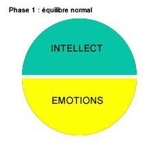 Le ballon émotionnel / un conflit mère-enfant ~ ROCK ROSE, VERVAIN (Hélianthème, Verveine)