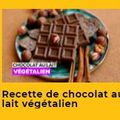 Chocolat au lait végétalien : une recette qui te plaira sur Veedz