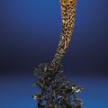 A Full-Tip Rhinoceros Horn Carving, Qing Dynasty, 19th Century