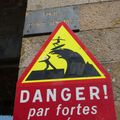 Danger Marée !