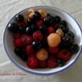 fruits du jardin