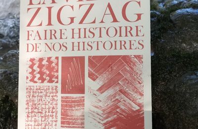 La vie en zigzag Faire histoire de nos histoires Karelle Ménine Préface d'Arlette Farge Éditions La Baconnière