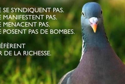 Rumeurs sur le statut d’auto-entrepreneurs : comment reprendre un poncif anti-gauche…