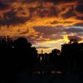 Jardin des Tuileries au coucher du soleil