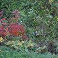 Le jardin fin Octobre 