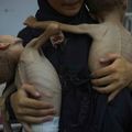 !!Génocide à Gaza: J 670!! Réponse à Maxime Prévot, Vice-Premier ministre & Ministre des Affaires étrangères de Belgique