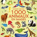 Nikki Dyson - "1000 animaux en images".