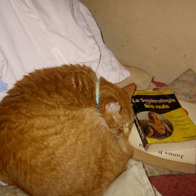 Les derniers jours de l'année