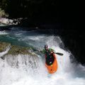 Fiordland National Park: Hollyford River runs