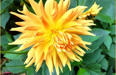 Art Postal et Hommage