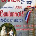 Concours des Etalons 2016