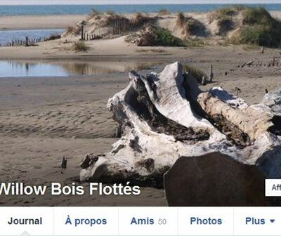 WILLOW (ou GUS Le bricolo) sur FACEBOOK