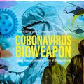 Le Dr Francis Boyle, créateur de la loi américaine sur les armes biologiques affirme que le coronavirus est une arme de guerre b
