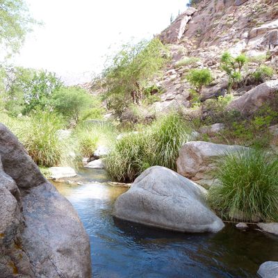 Cafayate et les bodegas argentines