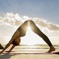 Cours de Yoga Ashtanga pour niveau Moyen I ELLE Yoga