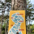 L'homme qui était un arbre Stéphane Padovani Éditions Quidam éditeur