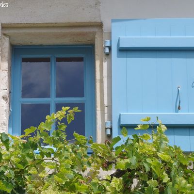 Fenêtres sur cour