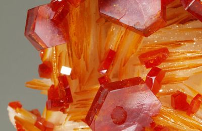 Vanadinite crystals on blades of Barite