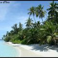 Biyadhoo, la plage...