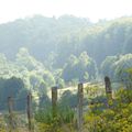 Paysage des Vosges.