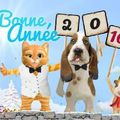 Bonne année 2016 carte envoyée par Pascale et Didier