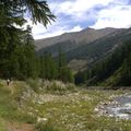 Du ruisseau au chant d'oiseau