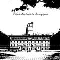 Retouche palais des ducs de Bourgogne -Dijon-