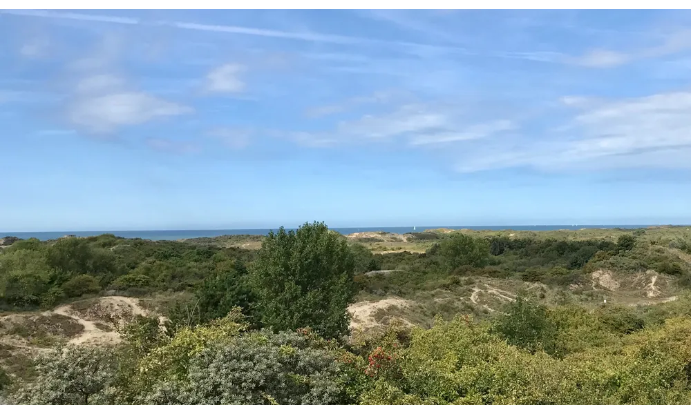 la mer vue des dunes ...