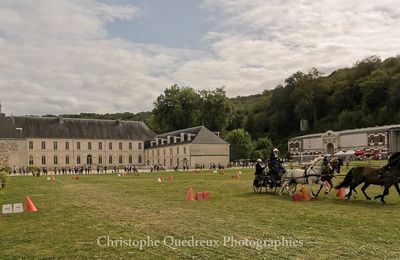 Abbaye du VALASSE: Fête du Cheval (11 et 12 août 2018)