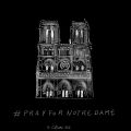 NOTRE DAME DE PARIS EN FLAMMES - LUNDI SAINT 