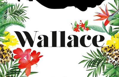 Wallace - Colin Niel - Le Rouergue